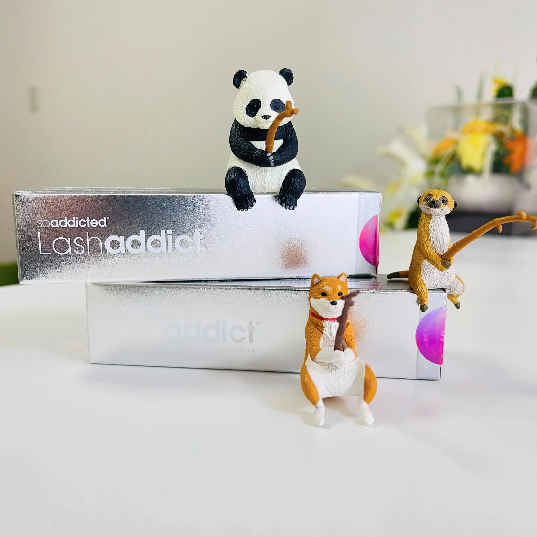 ラッシュアディクト再入荷です🫰🏻